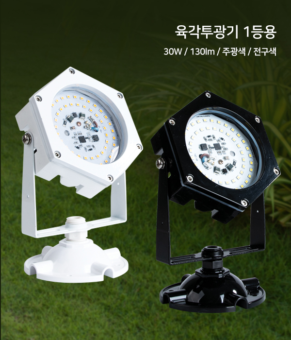 부다 30W 투광기 완전방수 국산 수목등 수목투사등